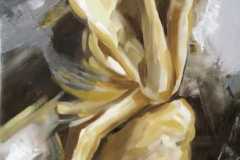 WhatsApp-Image-2025-12-09-at-19.50.11