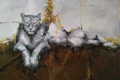 WhatsApp-Image-2025-12-09-at-20.21.52